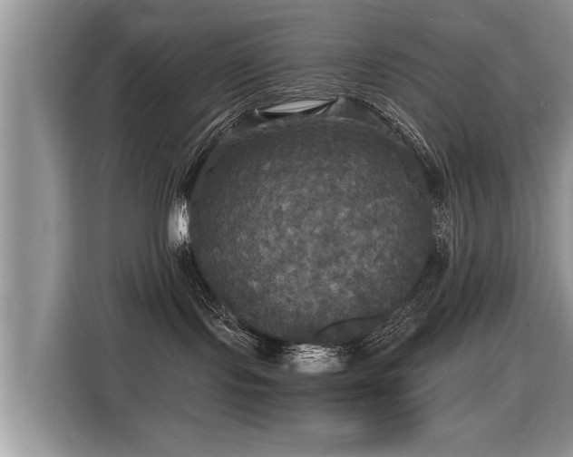 X0000115310095200911091145