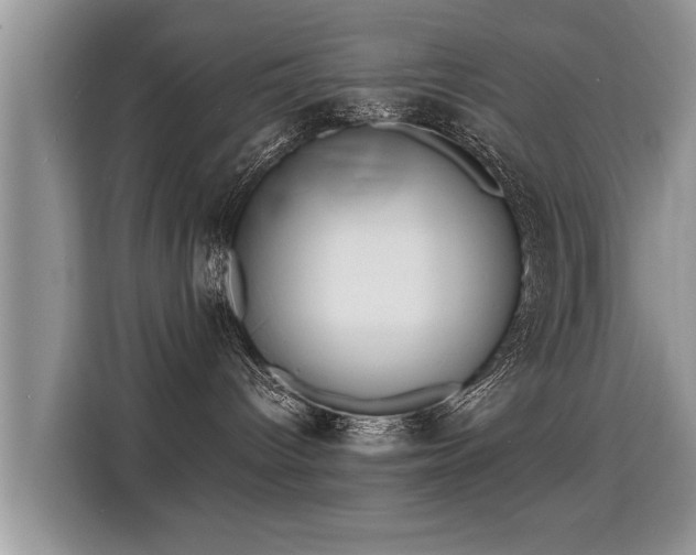 X0000115310096200911091145