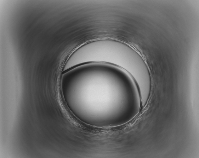 X0000115310097200911091145