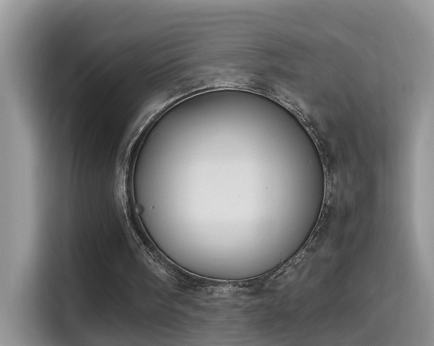 X0000115310098200911091145