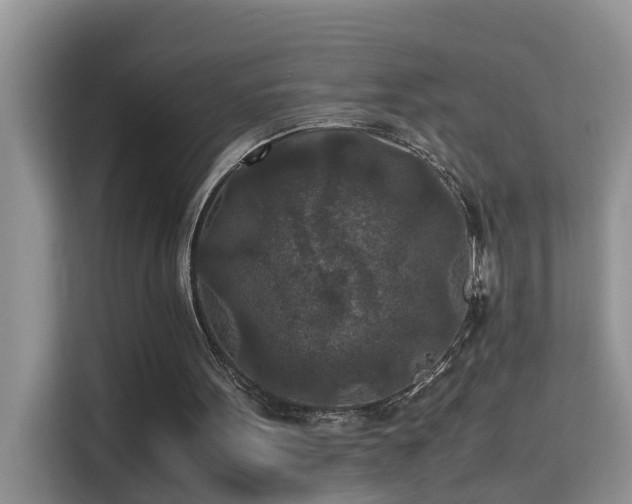 X0000115310099200911091145