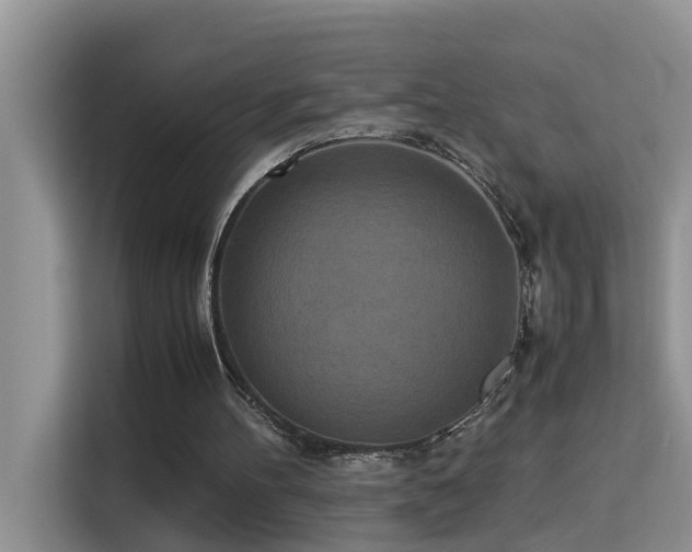 X0000115310100200911091145