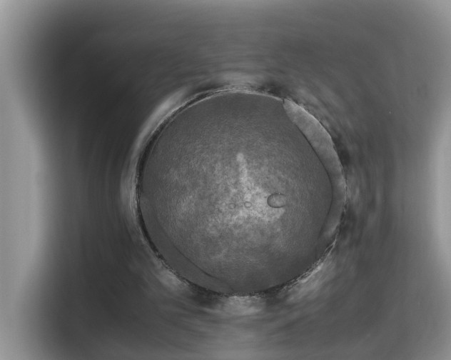 X0000115310101200911091145