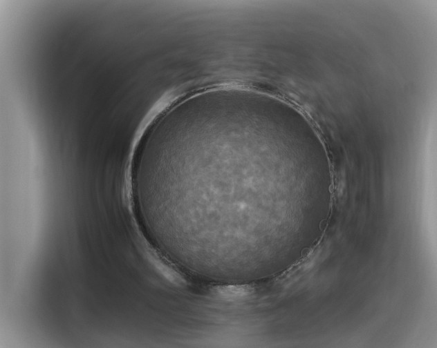 X0000115310102200911091145