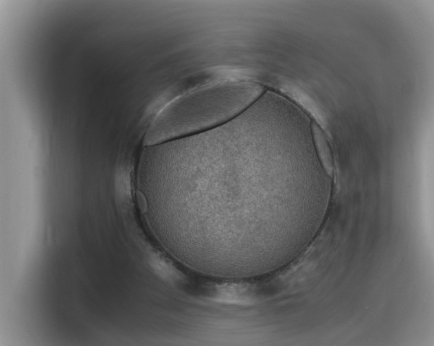 X0000115310105200911091145