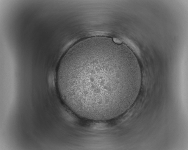 X0000115310107200911091145