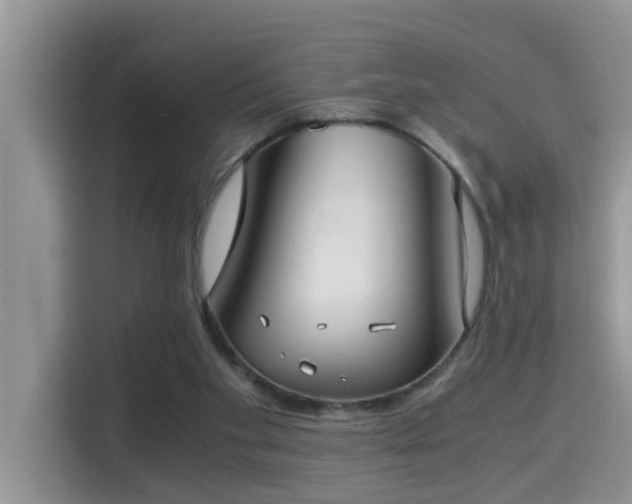 X0000115310109200911091145