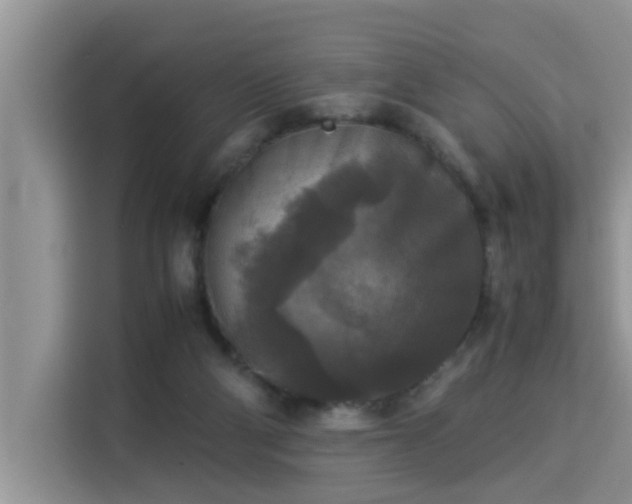 X0000115310114200911091145