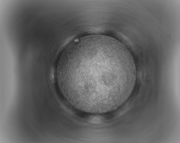 X0000115310115200911091145