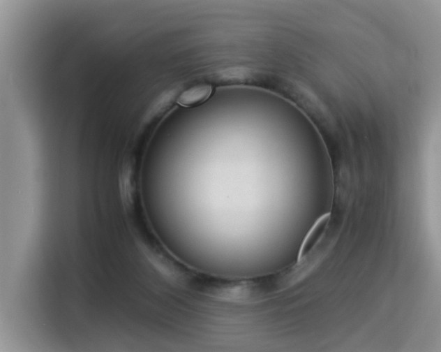 X0000115310116200911091145