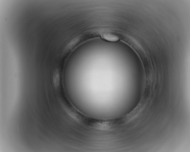 X0000115310120200911091144