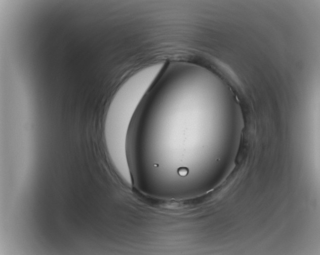 X0000115310121200911091144