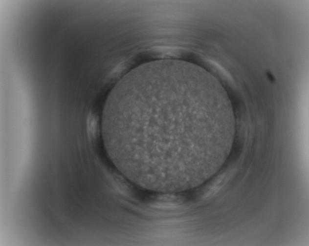 X0000115310123200911091144