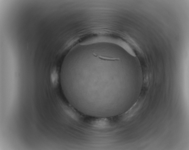 X0000115310124200911091144