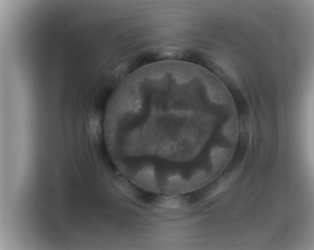 X0000115310127200911091144