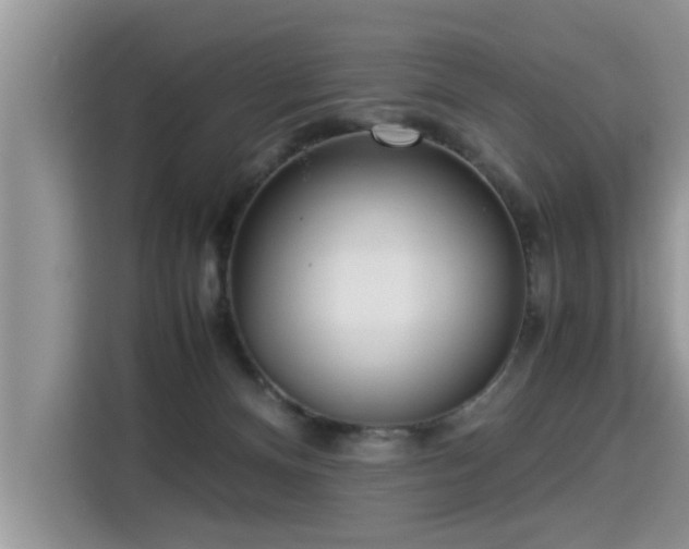 X0000115310128200911091144