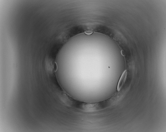 X0000115310129200911091144