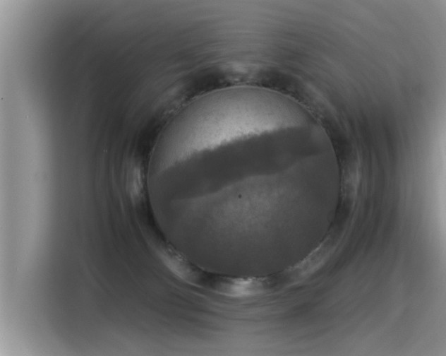 X0000115310130200911091144