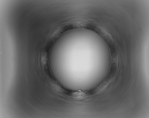 X0000115310133200911091144