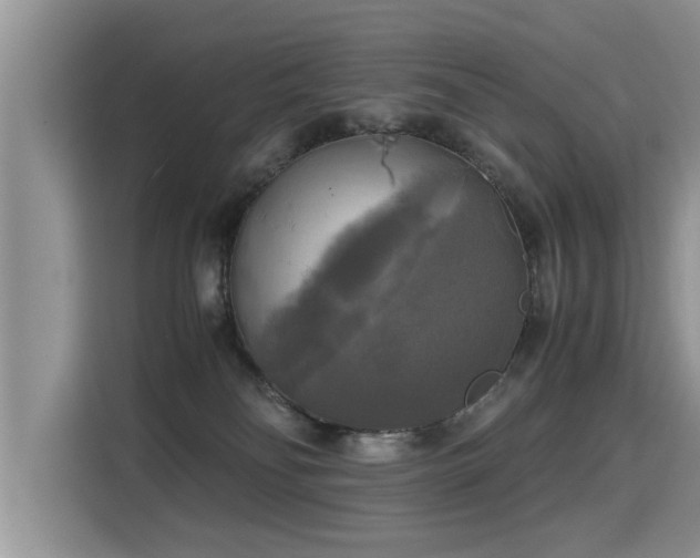 X0000115310134200911091144