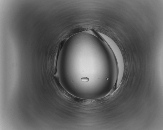 X0000115310136200911091144