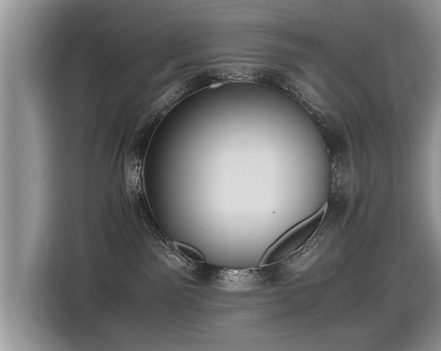 X0000115310141200911091144