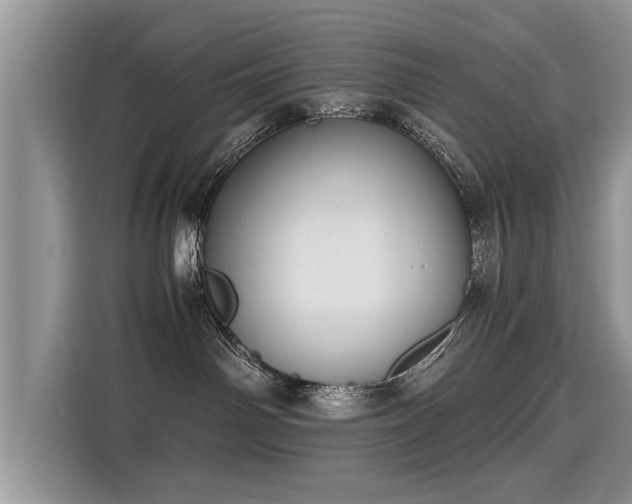 X0000115310142200911091144