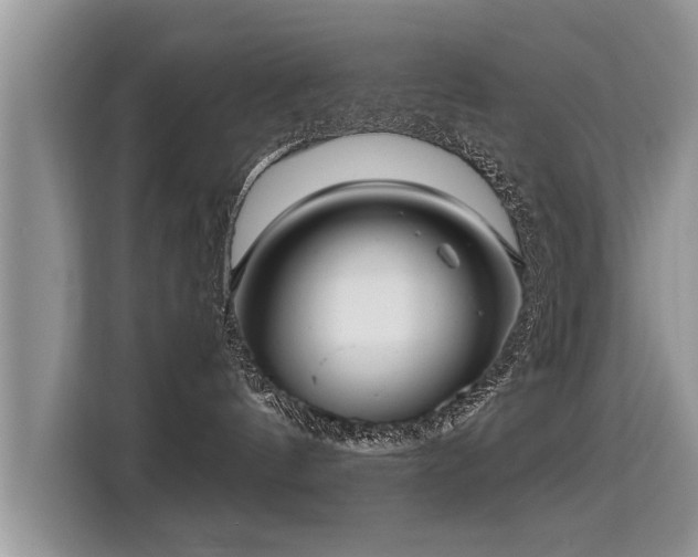 X0000115310144200911091144