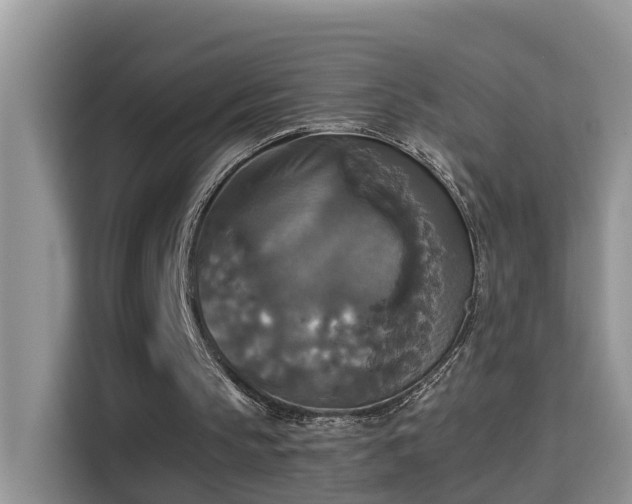 X0000115310145200911091144