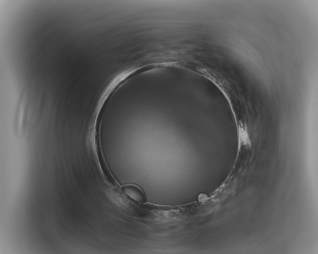 X0000115310147200911091144