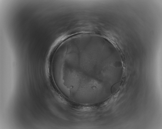 X0000115310149200911091144