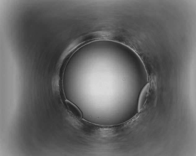 X0000115310150200911091144