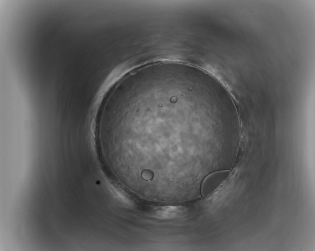 X0000115310151200911091144