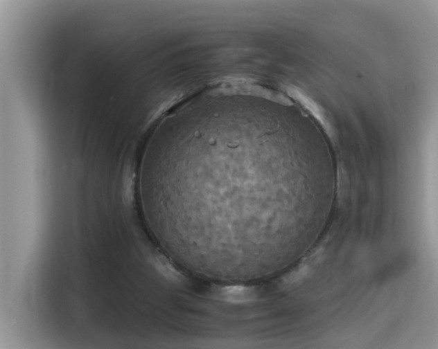 X0000115310153200911091144