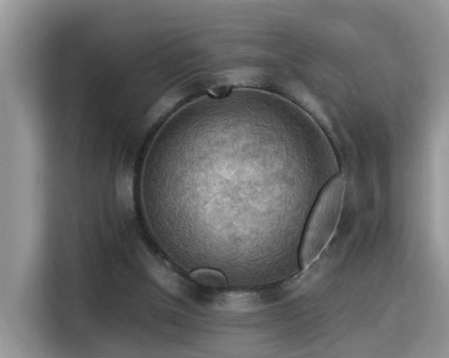 X0000115310154200911091144