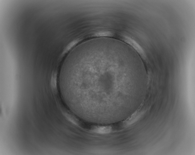 X0000115310155200911091144