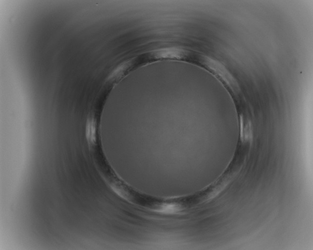 X0000115310157200911091144