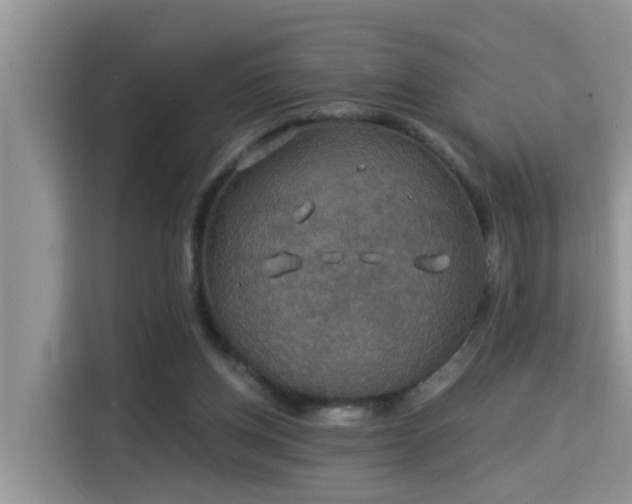 X0000115310158200911091144