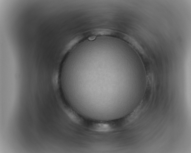 X0000115310159200911091144