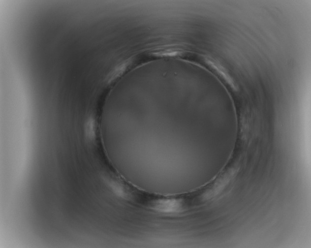 X0000115310161200911091144