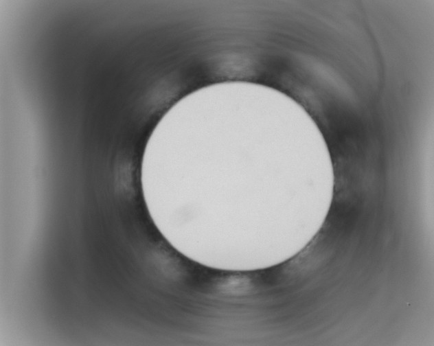 X0000115310162200911091144