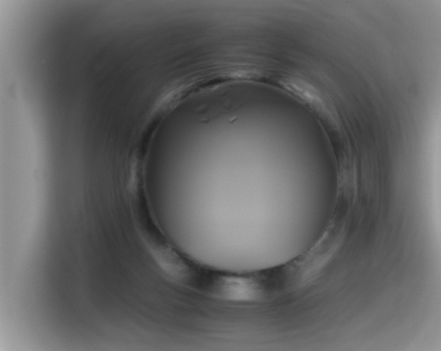 X0000115310167200911091144