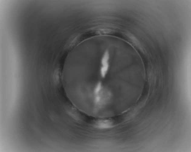 X0000115310169200911091144