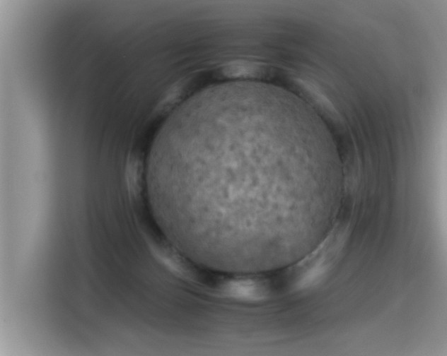 X0000115310171200911091144