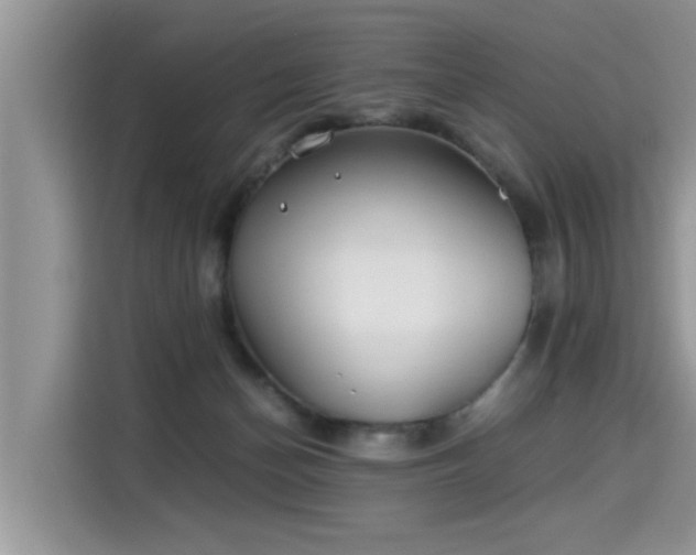 X0000115310174200911091144