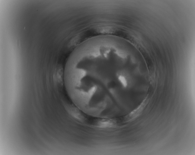 X0000115310175200911091144