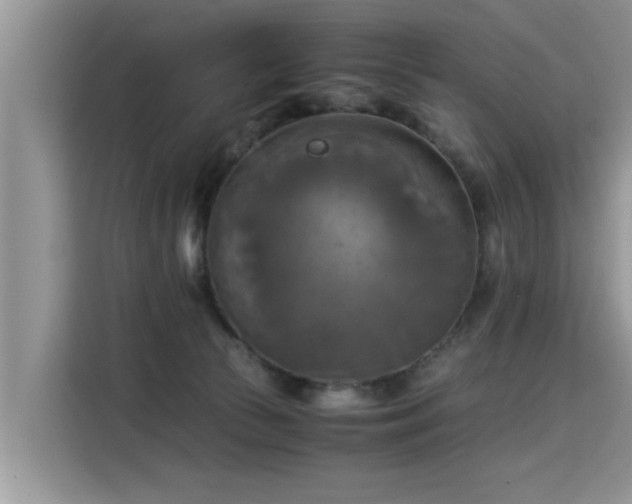 X0000115310177200911091144