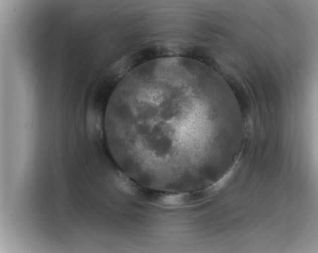 X0000115310178200911091144