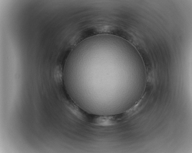 X0000115310179200911091144