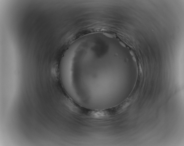 X0000115310181200911091144